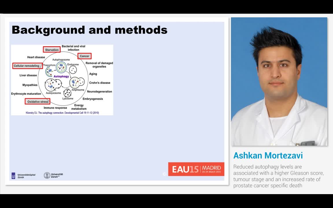 Reduced autophagy levels are associated with a higher Gle..-
