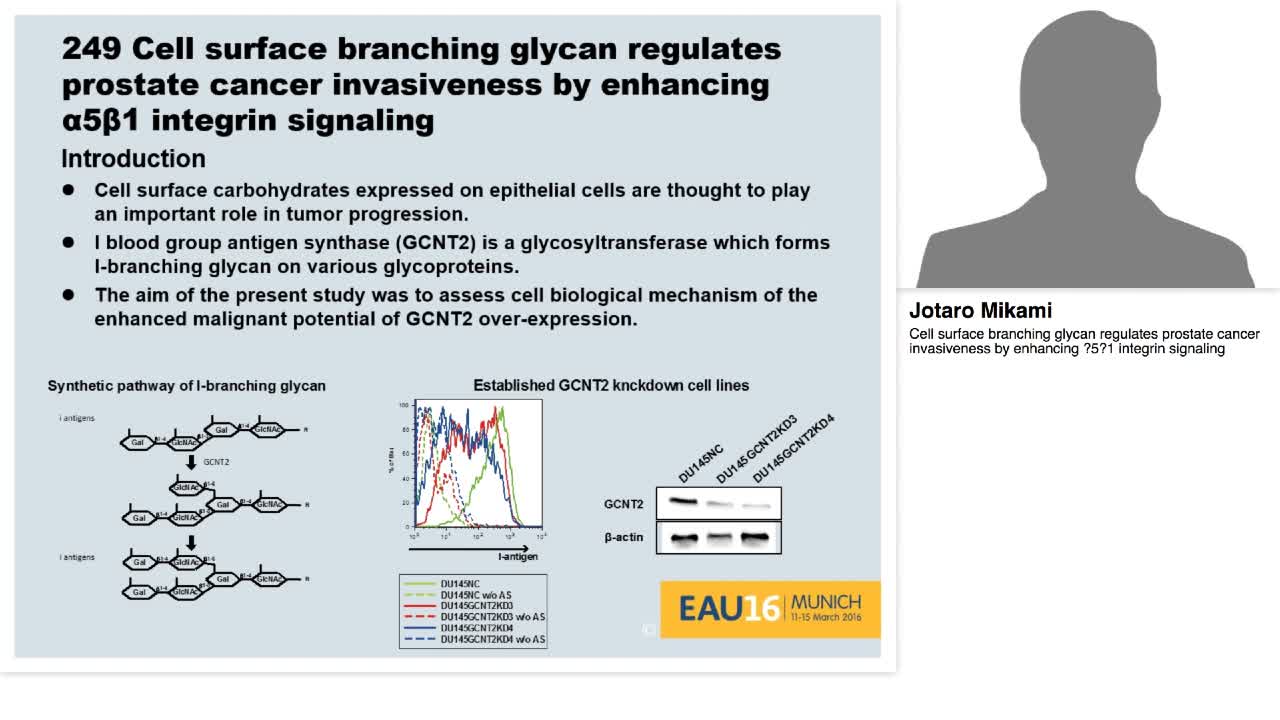 Cell surface branching glycan regulates prostate cancer i-