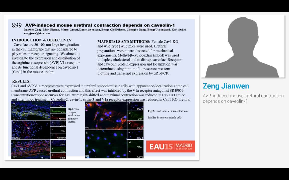AVP-induced mouse urethral contraction depends on caveolin-1