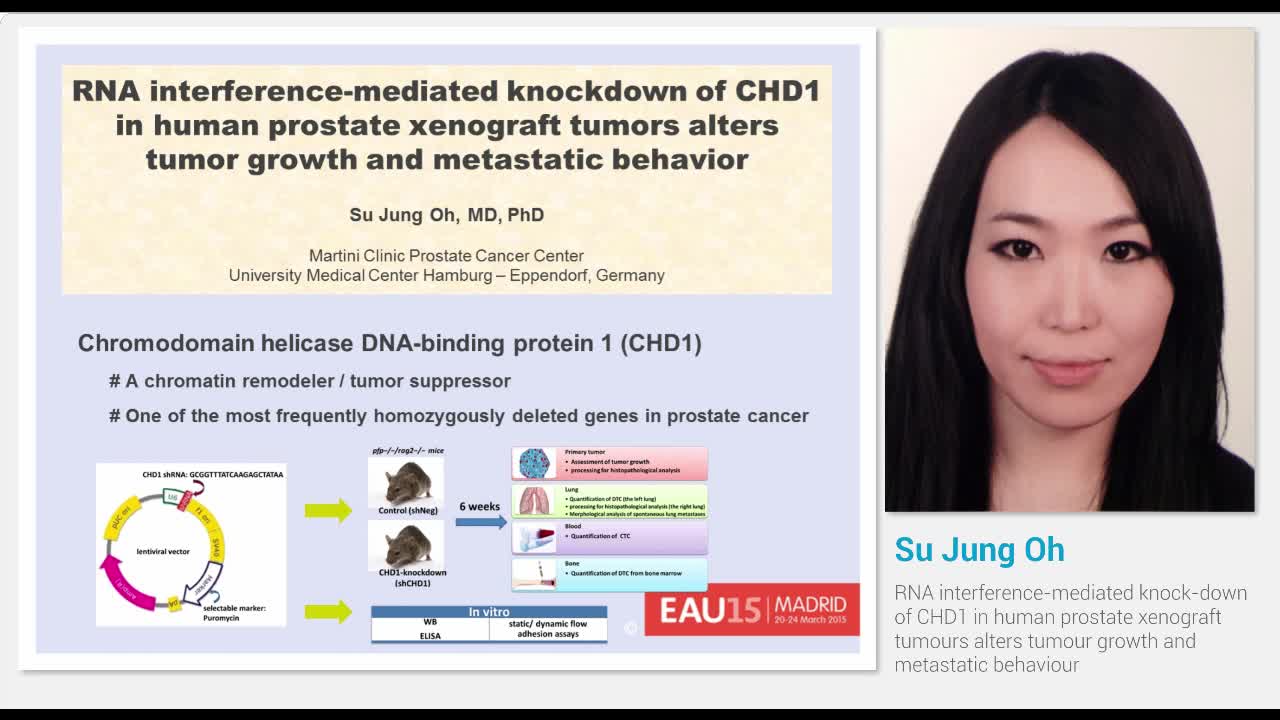 RNA interference-mediated knock-down of CHD1 in human pro..-
