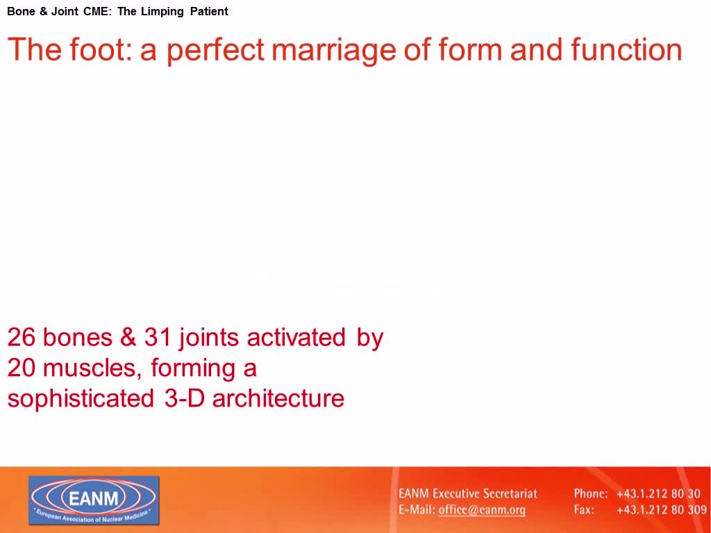 Foot_Pain_Unexplained_by_X-rays
