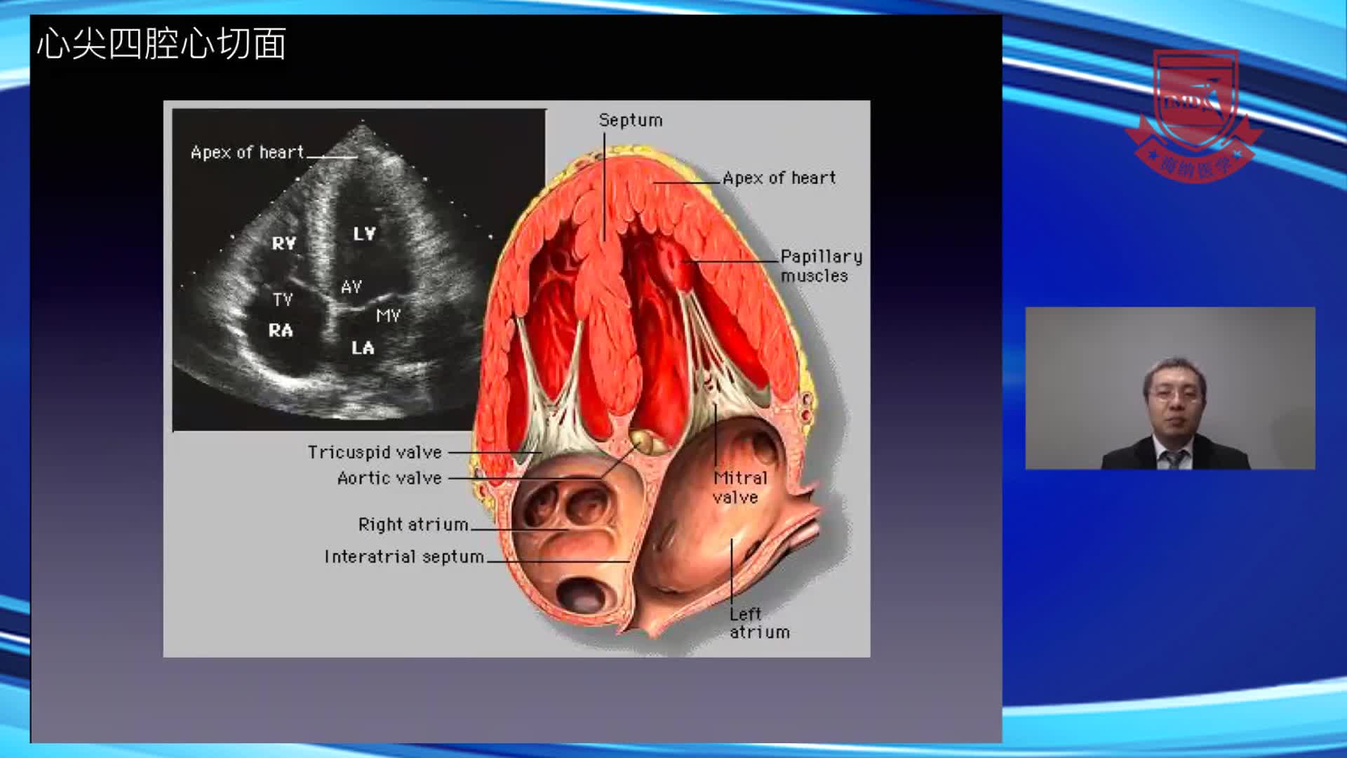 按部就班，我能行！--经胸超声心动图切面解读--段福建4