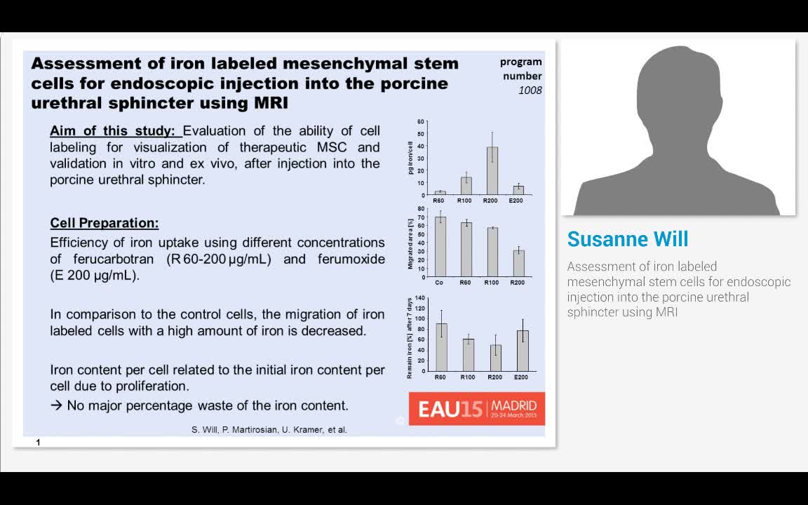 Assessment of iron labeled mesenchymal stem cells for end..-