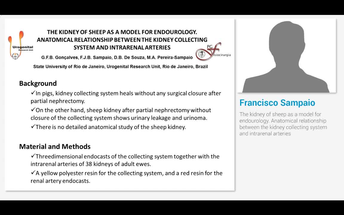 The kidney of sheep as a model for endourology. Anatomica..-