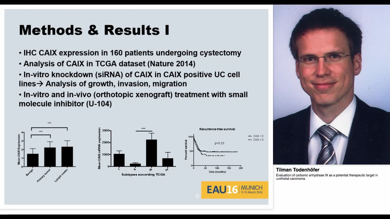 Evaluation of carbonic anhydrase IX as a potential therap-