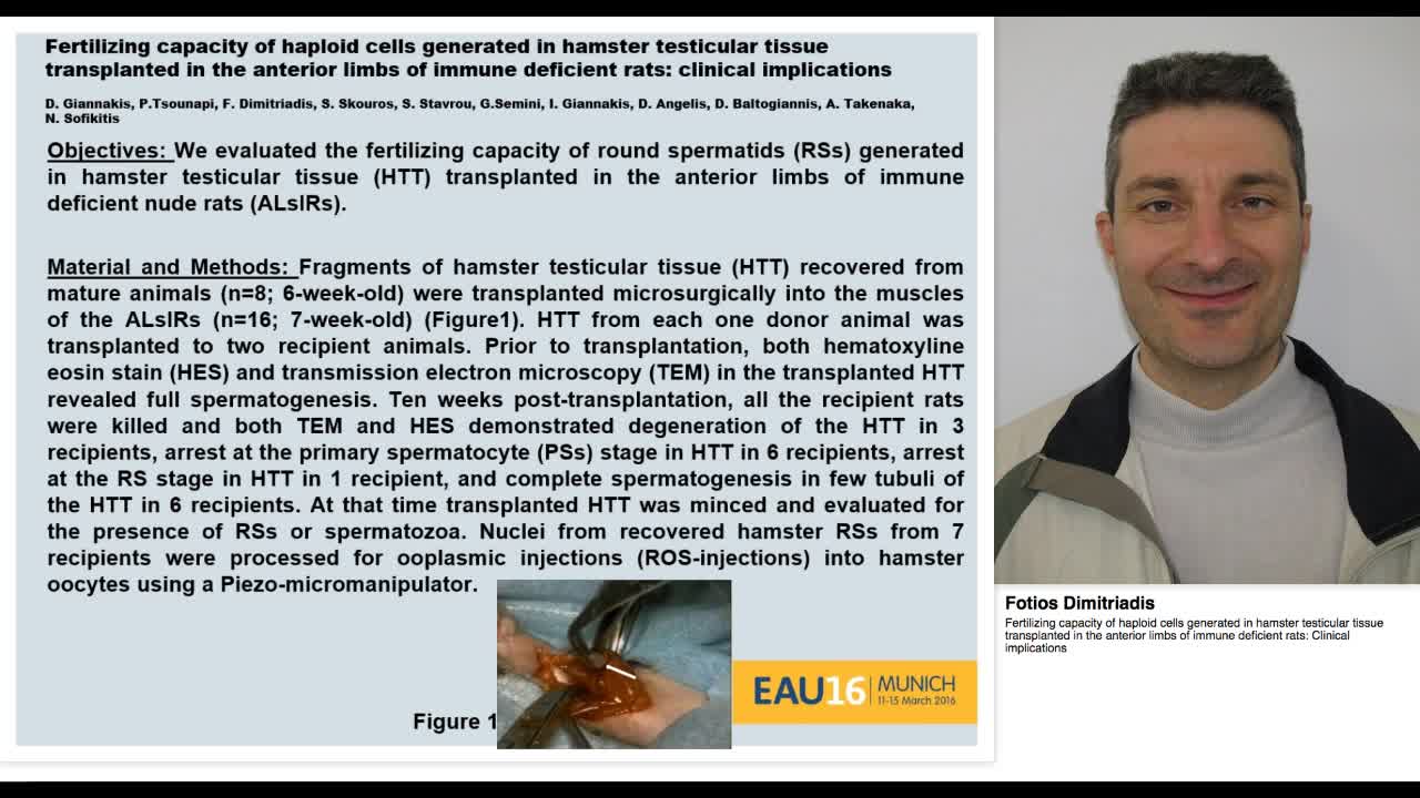 Fertilizing capacity of haploid cells generated in hamste-