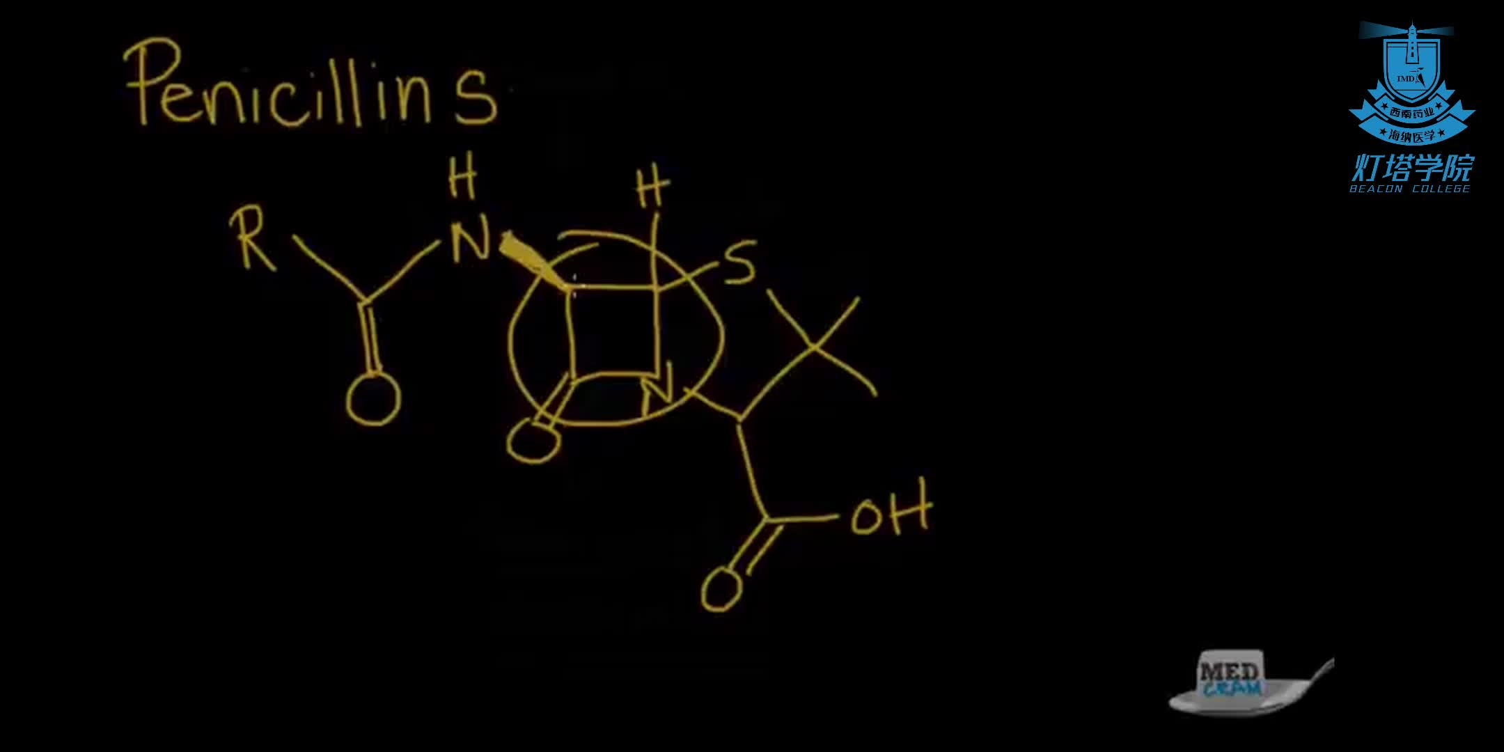 青霉素药物应用与抗菌挑战简述