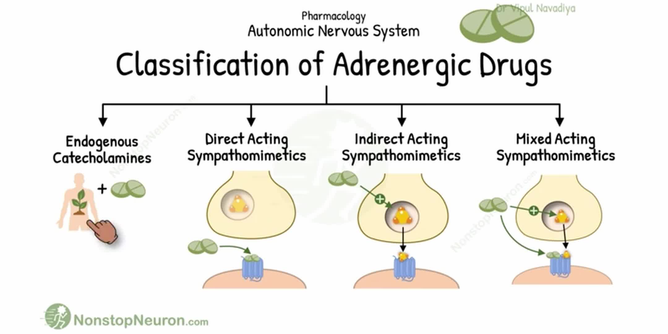 肾上腺素能药物分类与详解