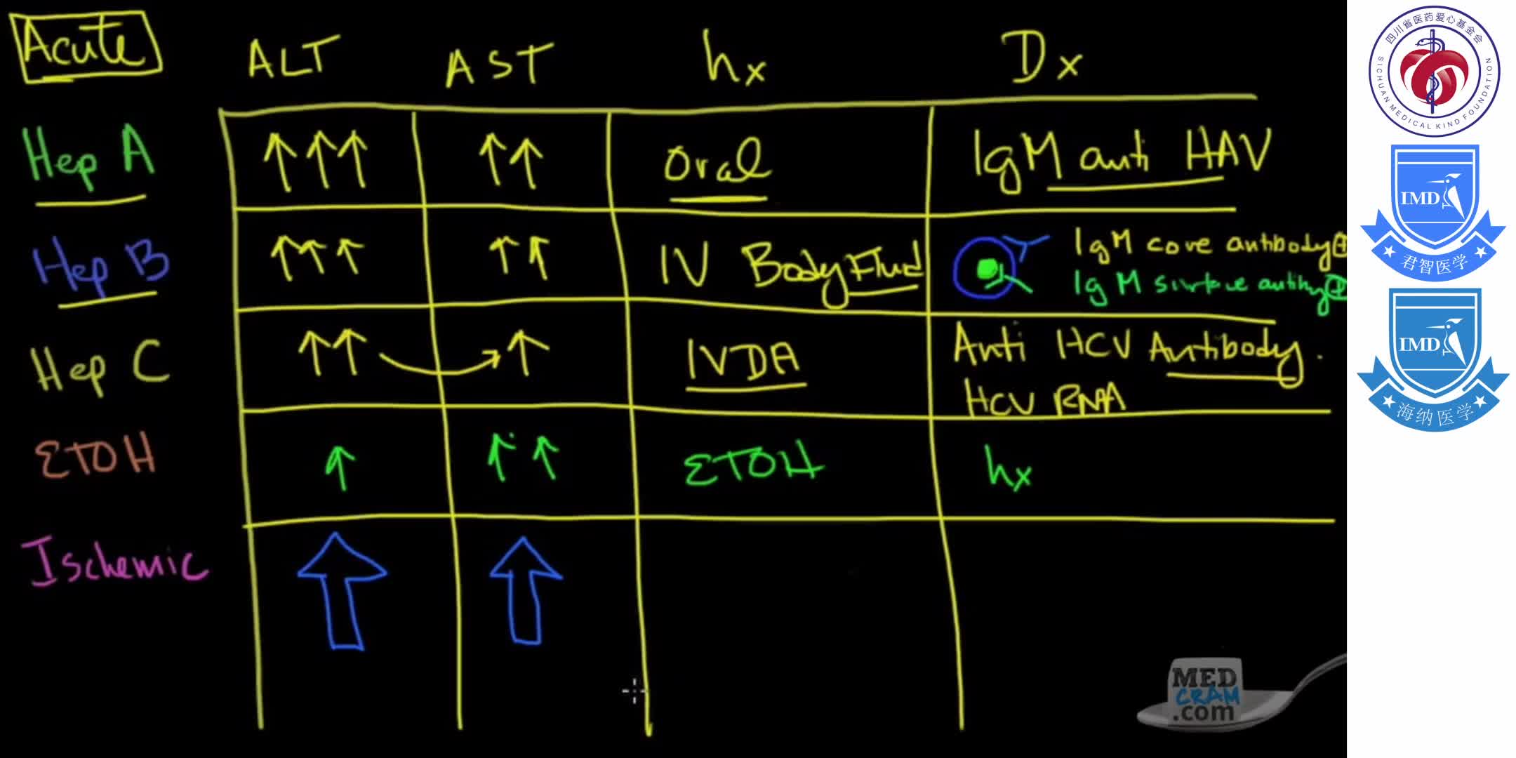 Diagnosis of Key Liver Diseases - Hepatitis A, B, C vs. Alcoholic vs. Ischemic (AST vs ALT Labs) 1-2