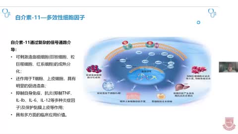 王冲-白介素-11多效性临床探索