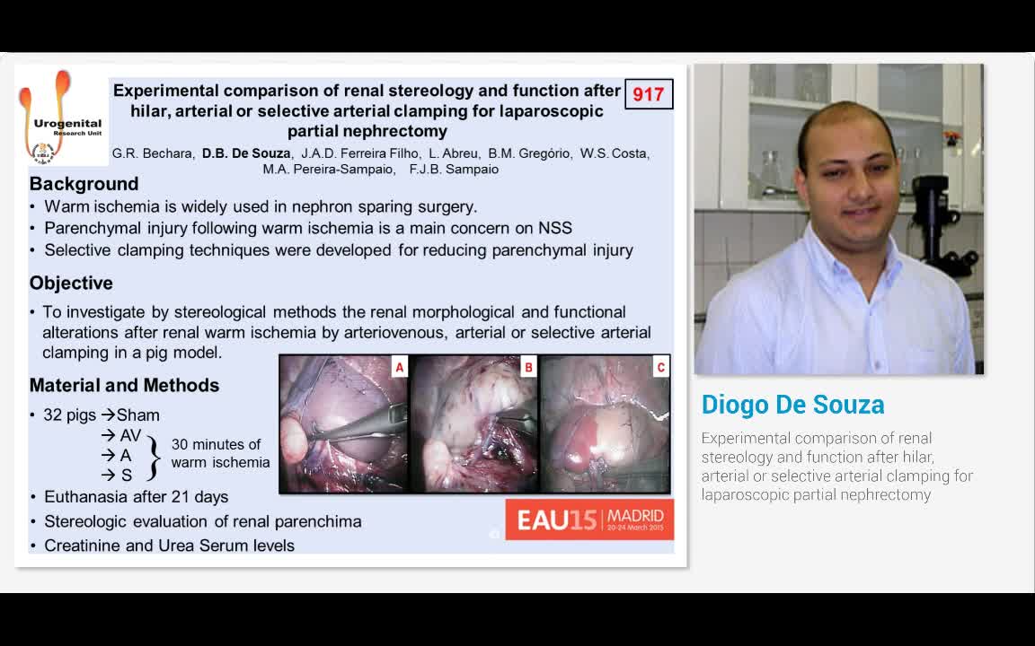 Experimental comparison of renal stereology and function ..-