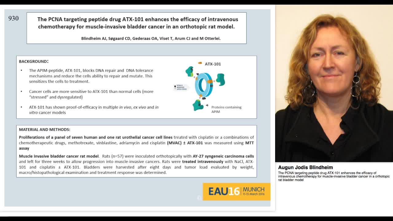 The PCNA targeting peptide drug ATX-101 enhances the effi-