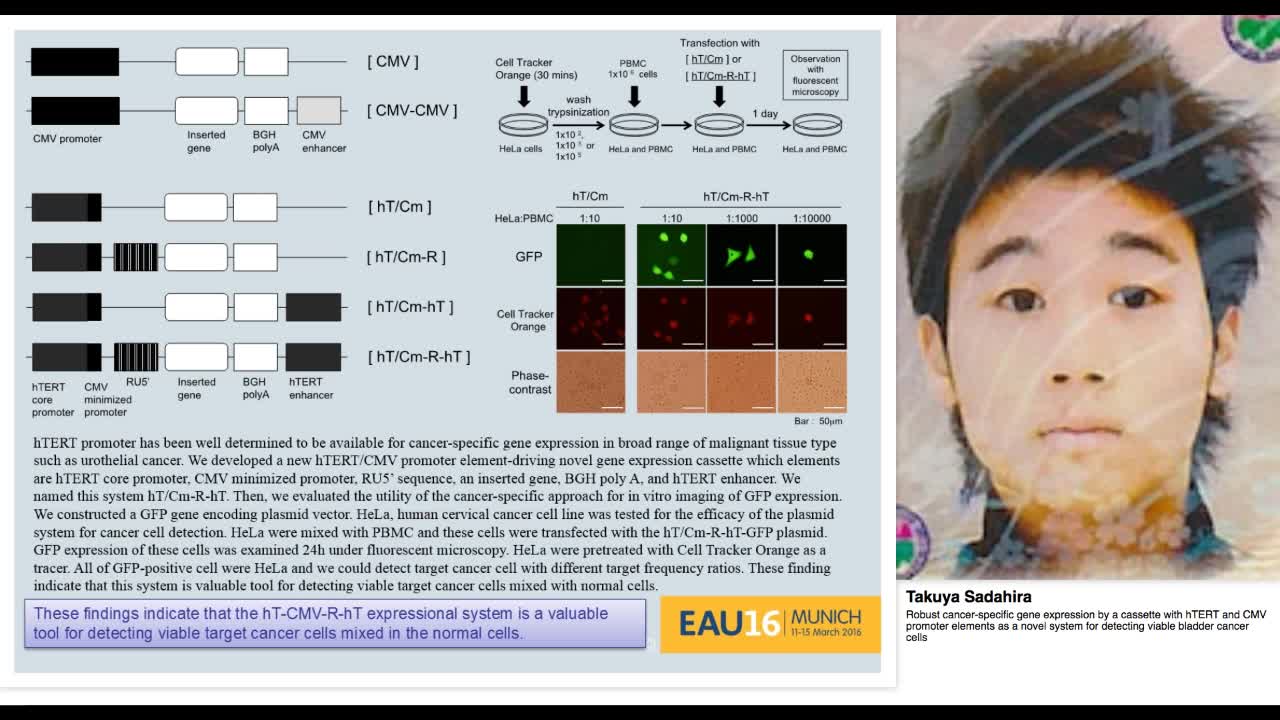 Robust cancer-specific gene expression by a cassette with-