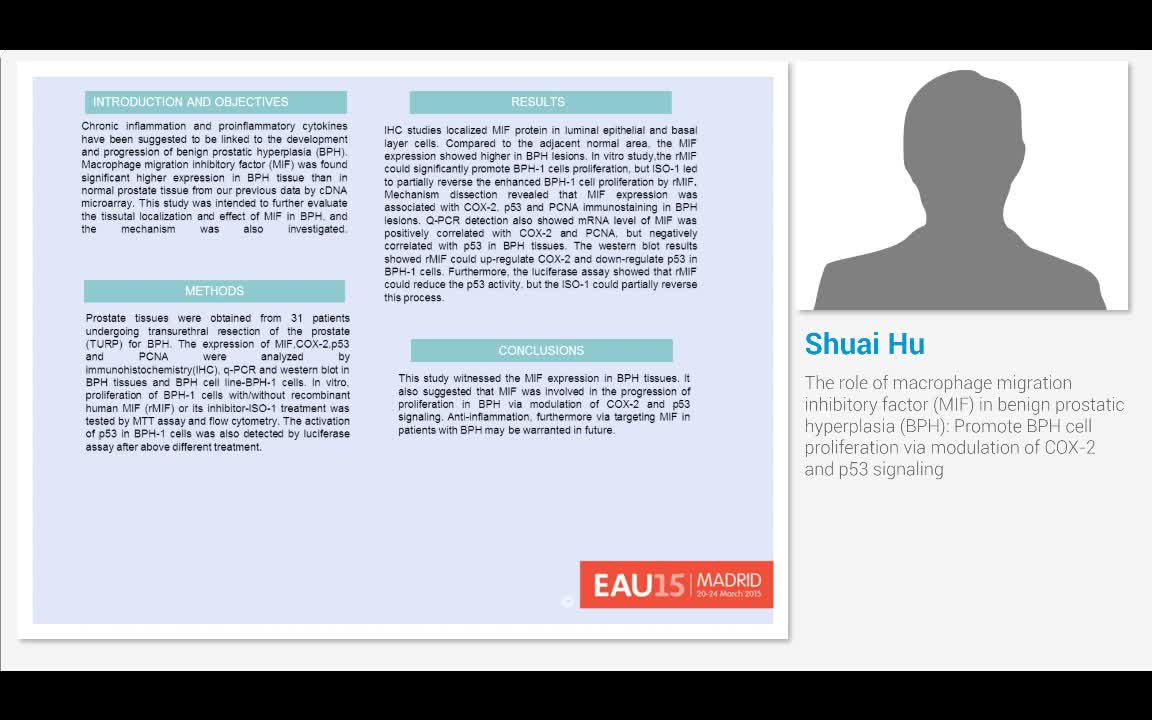 The role of macrophage migration inhibitory factor (MIF) ..-