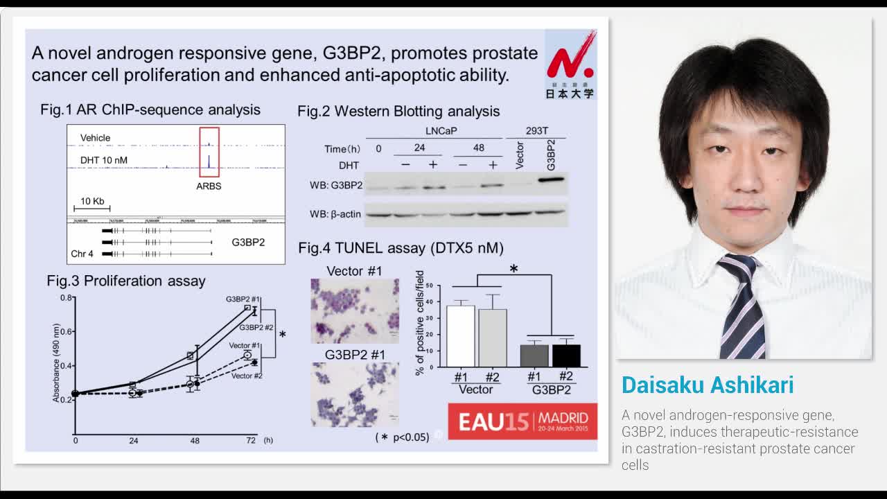 A novel androgen-responsive gene, G3BP2, induces therapeu..-