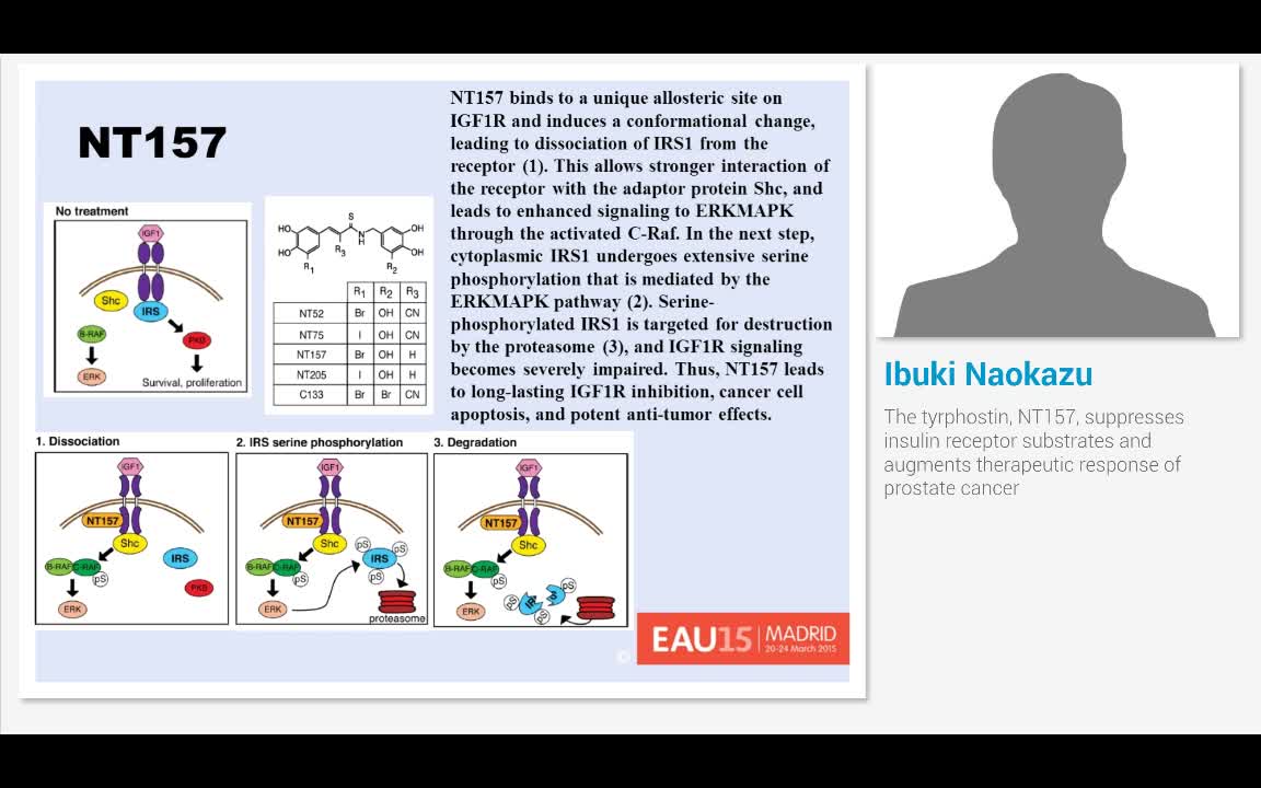 The tyrphostin, NT157, suppresses insulin receptor substr..-
