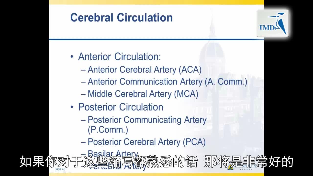 解剖学与生理学之神经解剖学（7）