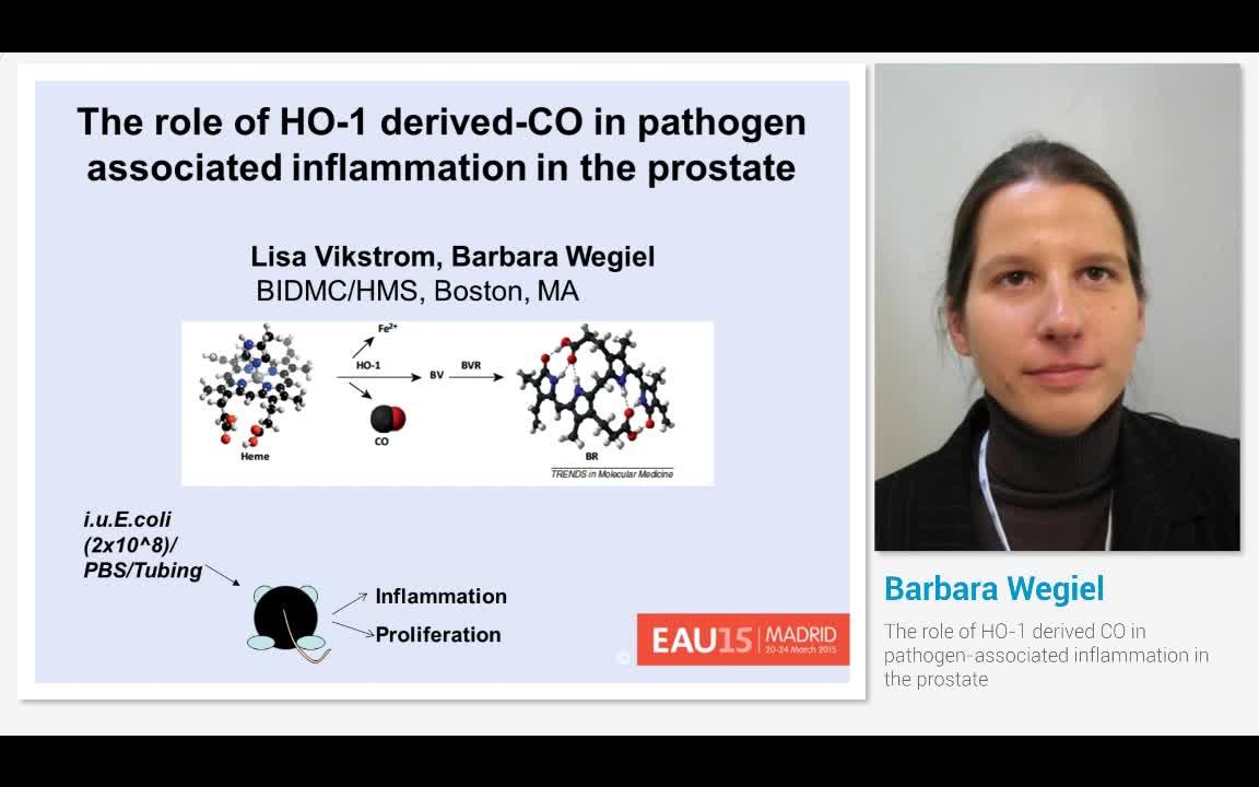 The role of HO-1 derived CO in pathogen-associated inflam..-