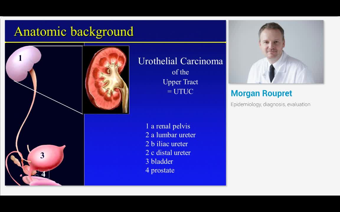 Epidemiology, diagnosis, evaluation