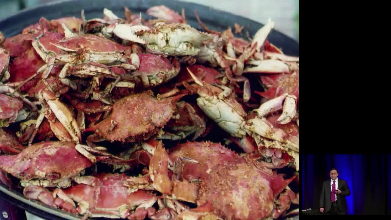 The National Emergency Medicine Board Review Course - Cardiology