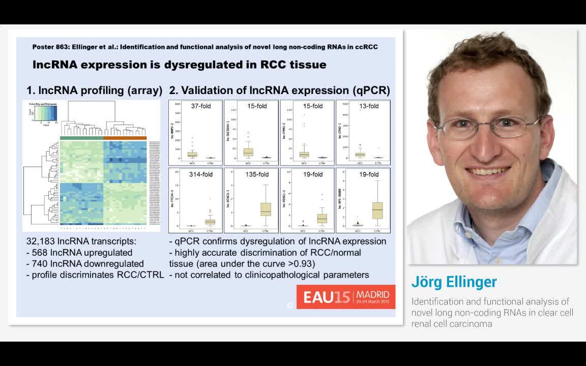 Identification and functional analysis of novel long non-..-