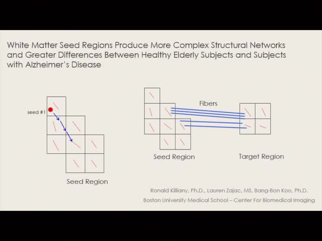 White Matter Seed Regions Produce More Complex Structural Networks and Greater Differences Between Healthy Elderly Subjects and 