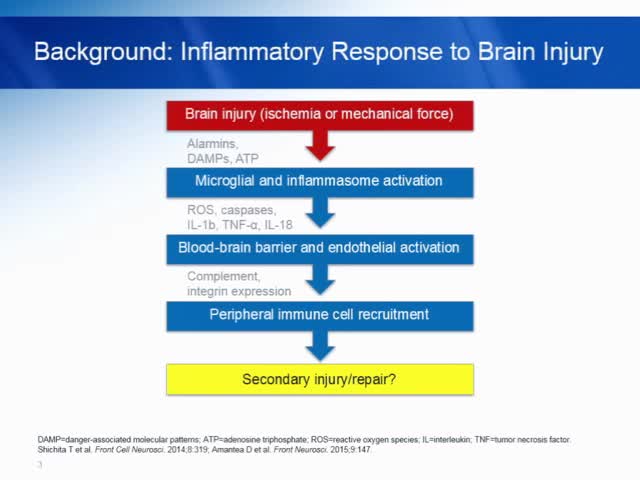 S7.005. Natalizumab Versus Placebo in Patients with Acute Ischemic Stroke Reulsts from ACTION, a Multicenter, Double-blind, Plac