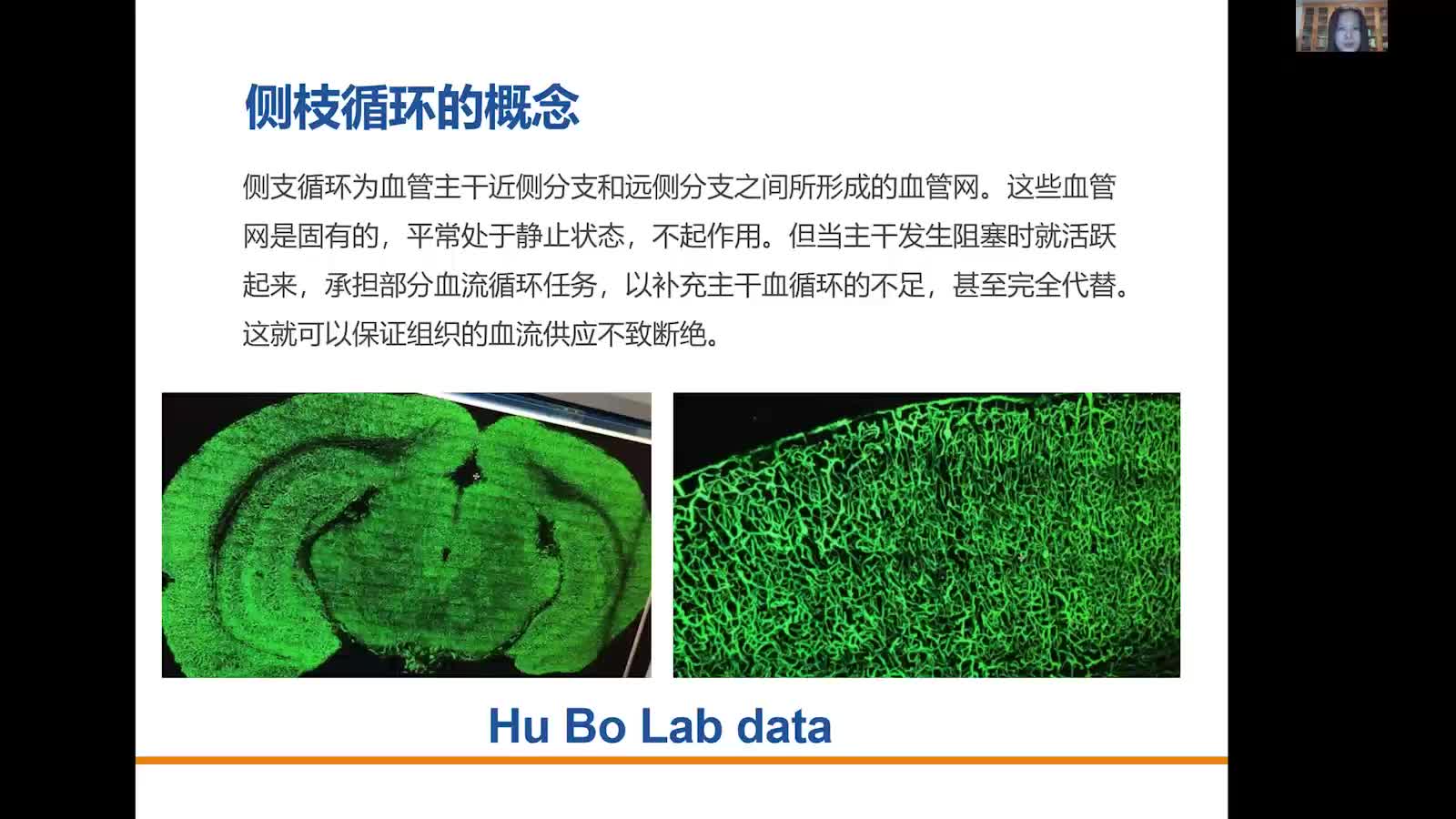 1-4 侧支循环在缺血性卒中治疗中的临床价值-胡波_增长