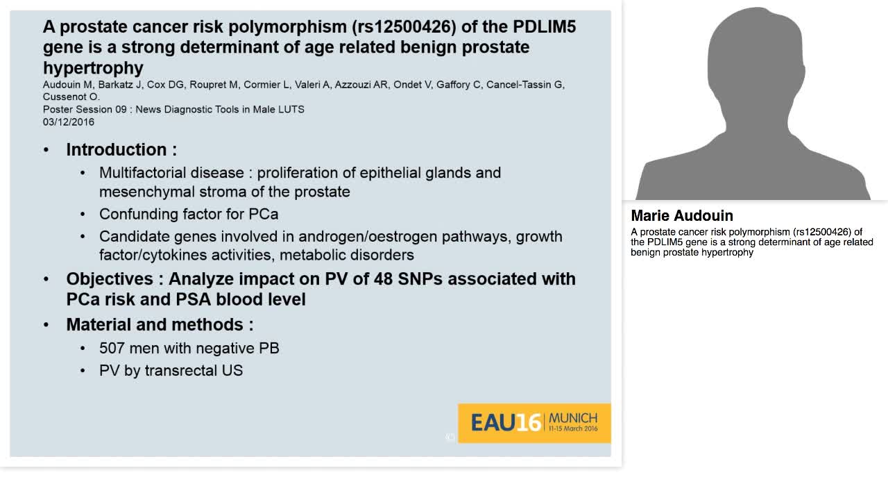 A prostate cancer risk polymorphism (rs12500426) of the P-
