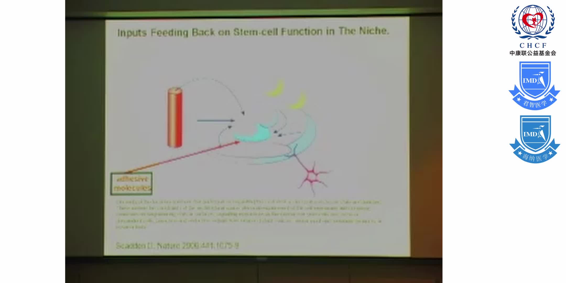 Stem Cell Mobilization_ Molecular Biology and Serendipity 1-3