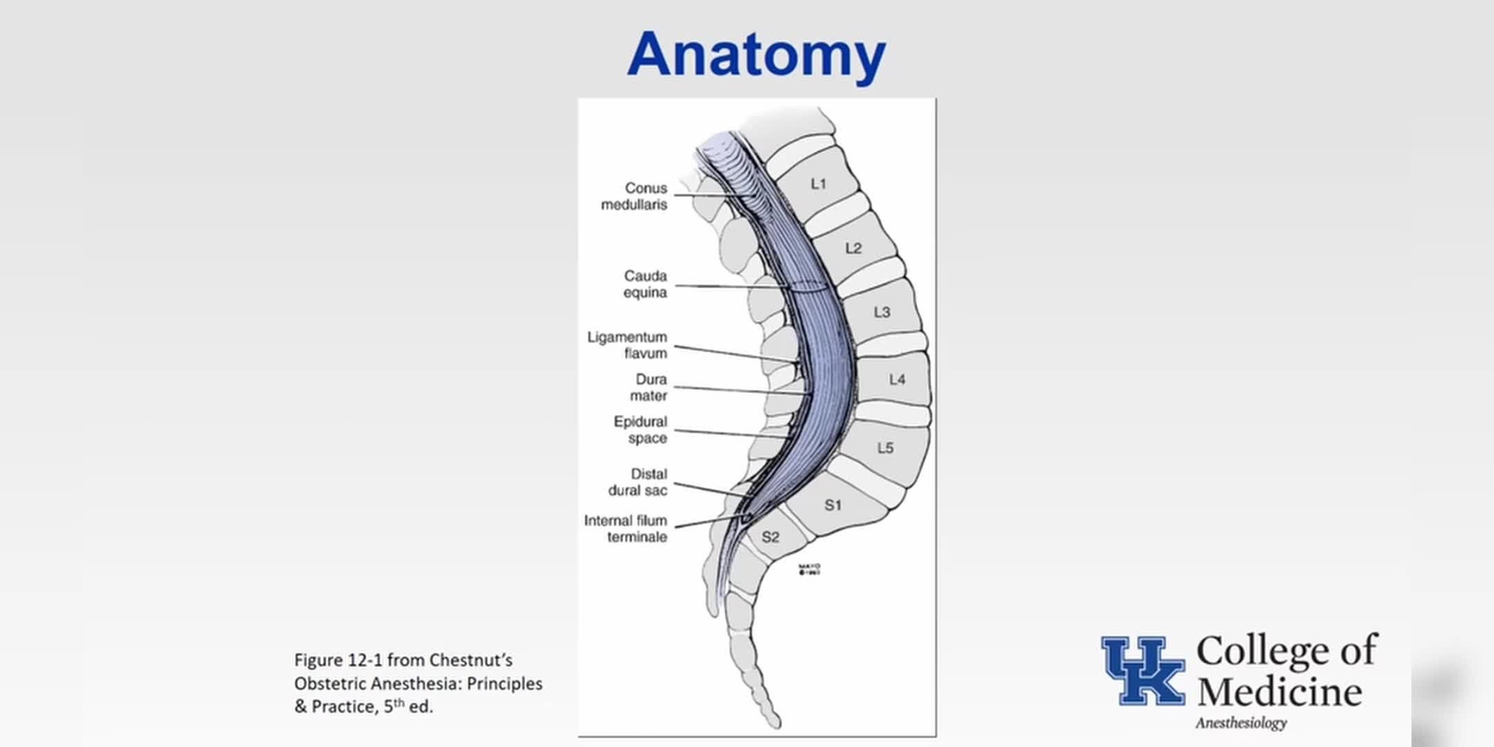 脊髓与硬膜外麻醉的解剖学及生理学详解
