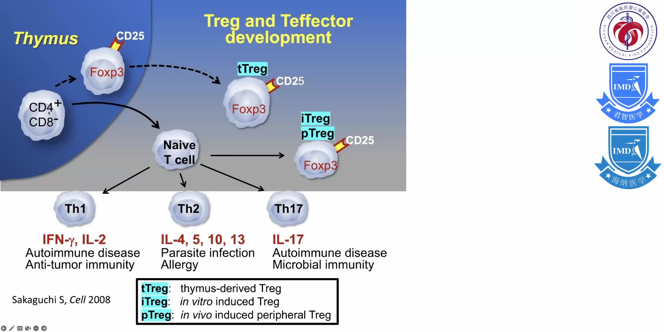 discusses the biological properties of regulatory T cells (Tregs) that are well suited for regaining immune homeostasis 3