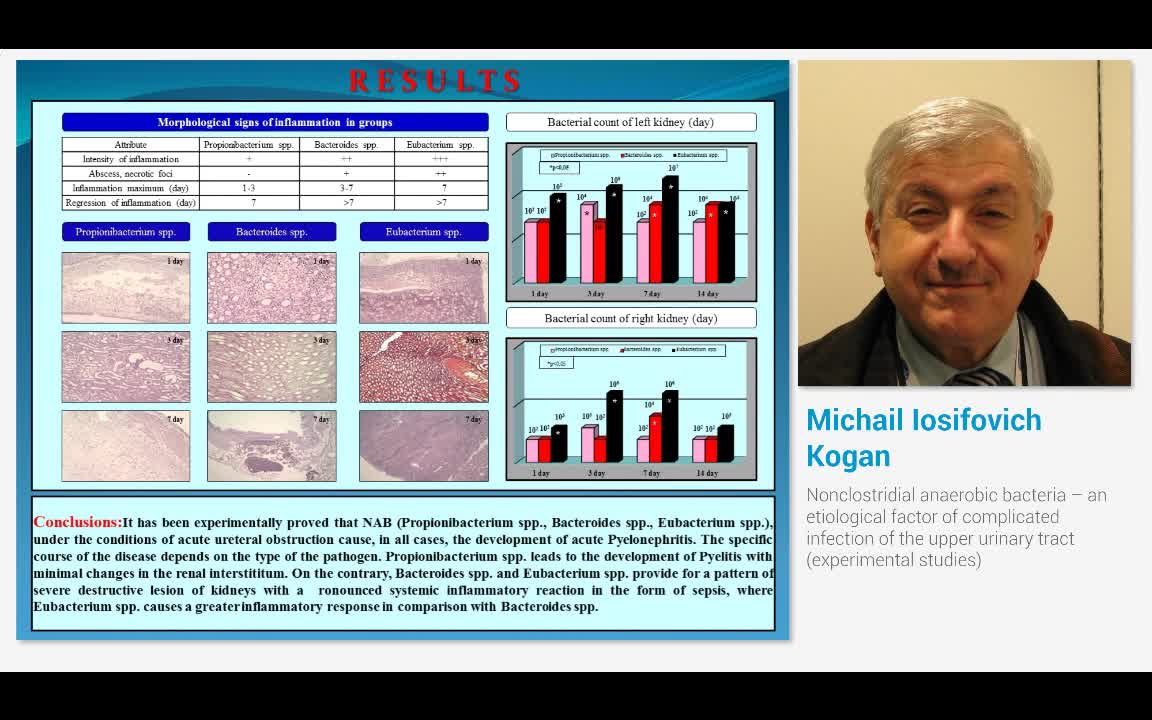 Nonclostridial anaerobic bacteria - an etiological factor..-