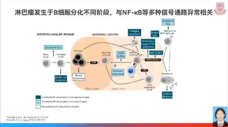 洪振亚-来那度胺在DLBCL的治疗进展