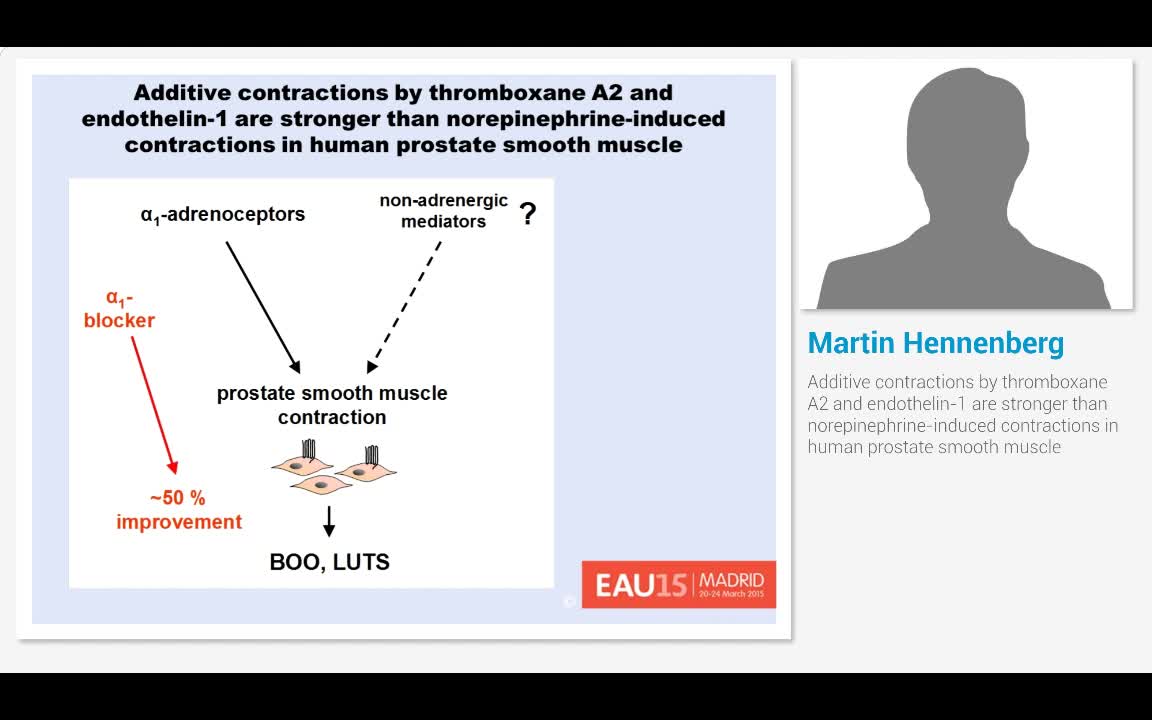 Additive contractions by thromboxane A2 and endothelin-1 ..-