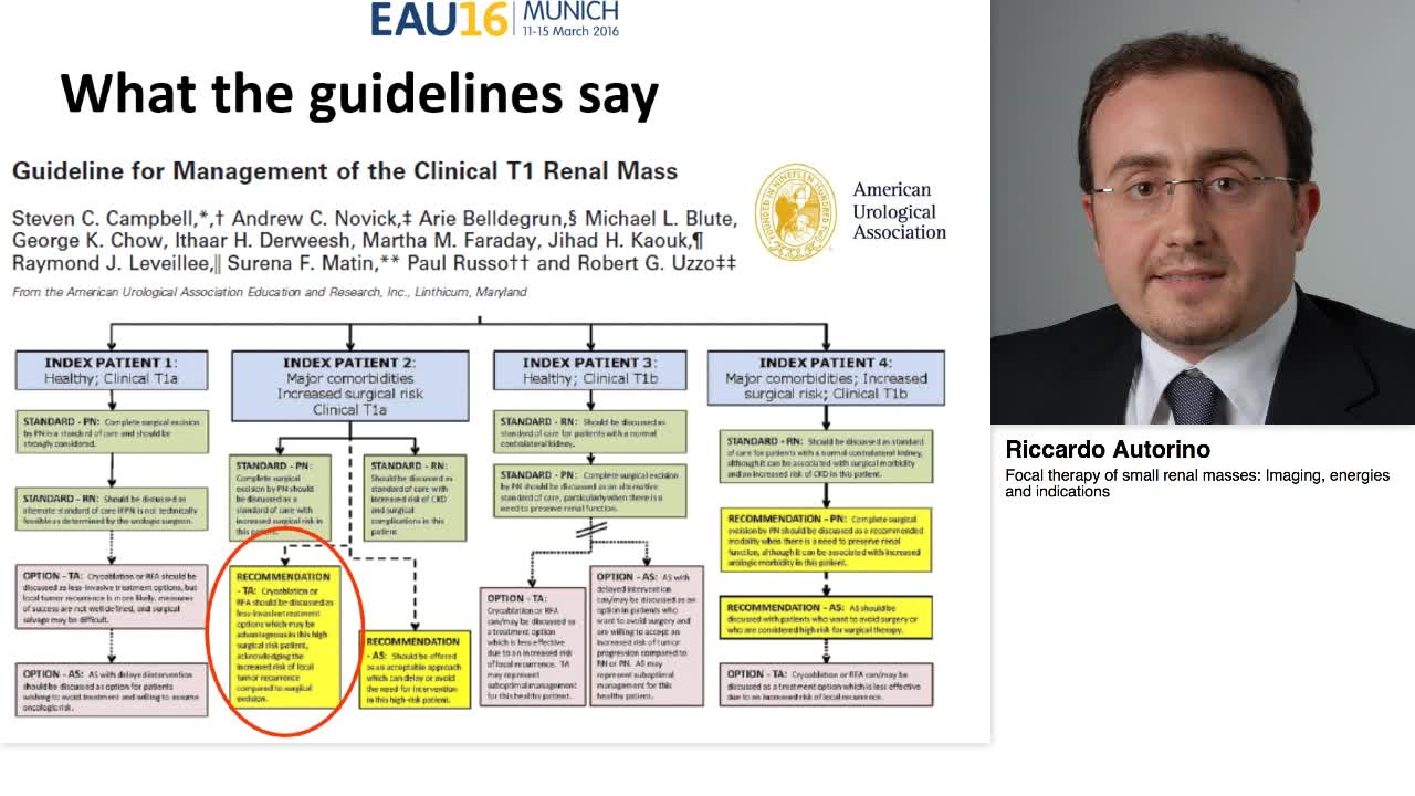 Focal therapy of small renal masses, Imaging, energies an-