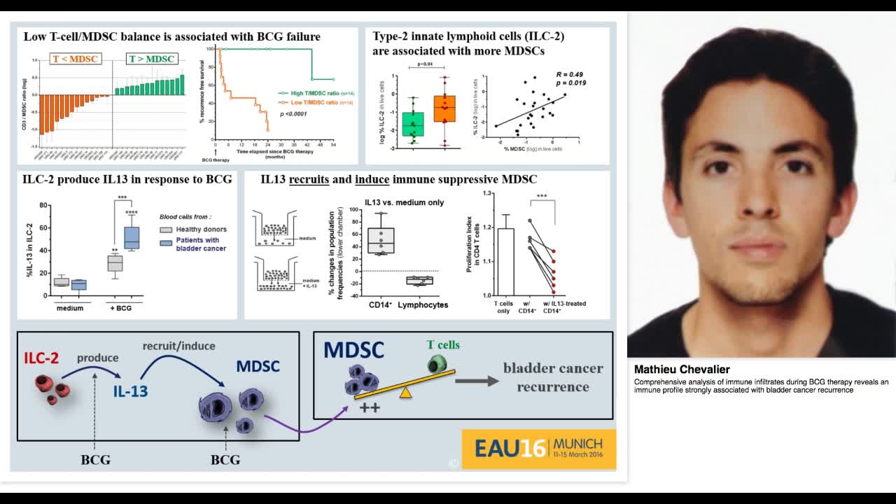 Comprehensive analysis of immune infiltrates during BCG t-