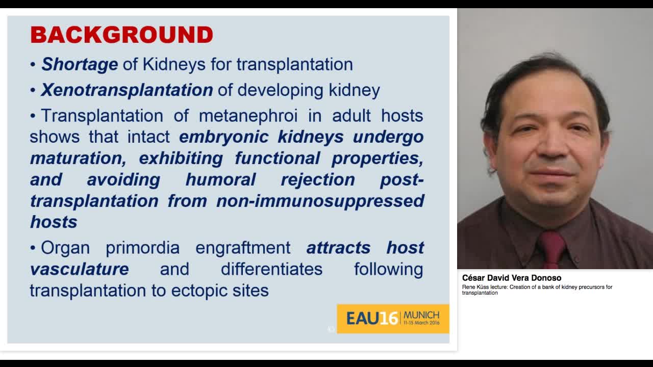 Rene K&uuml;ss lecture, Creation of a bank of kidney precursor-