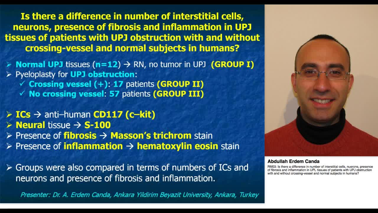 RM03, Is there a difference in number of interstitial cel-