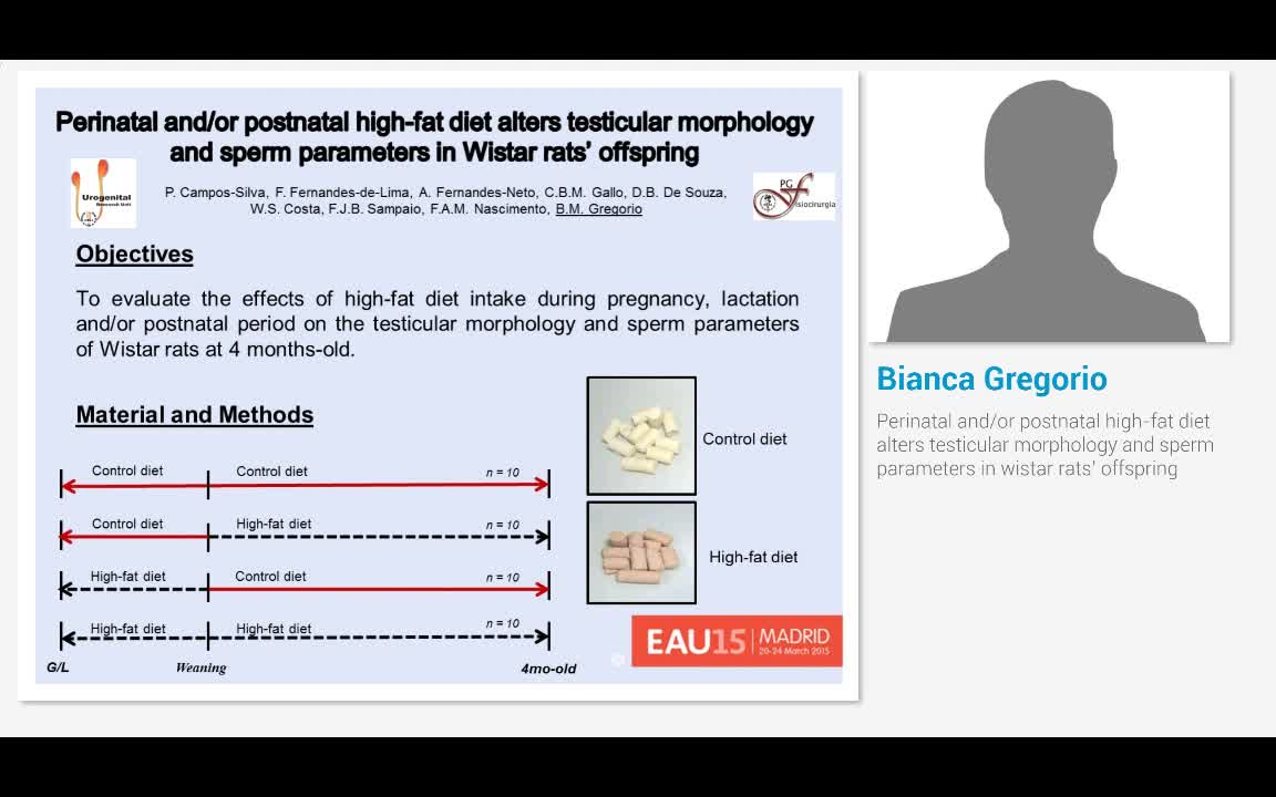 Perinatal and-or postnatal high-fat diet alters testicula..-