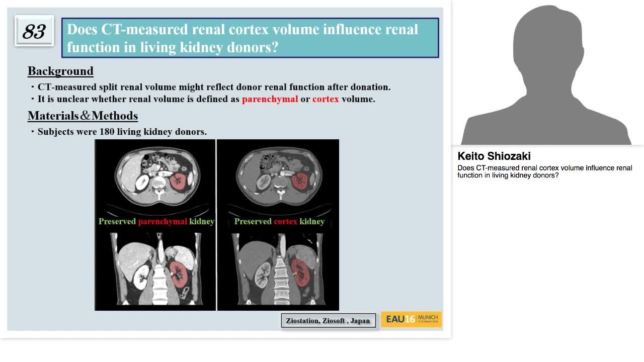 Does CT-measured renal cortex volume influence renal func-