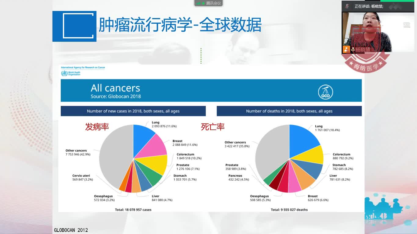 杨晓慧-肿瘤基础知识