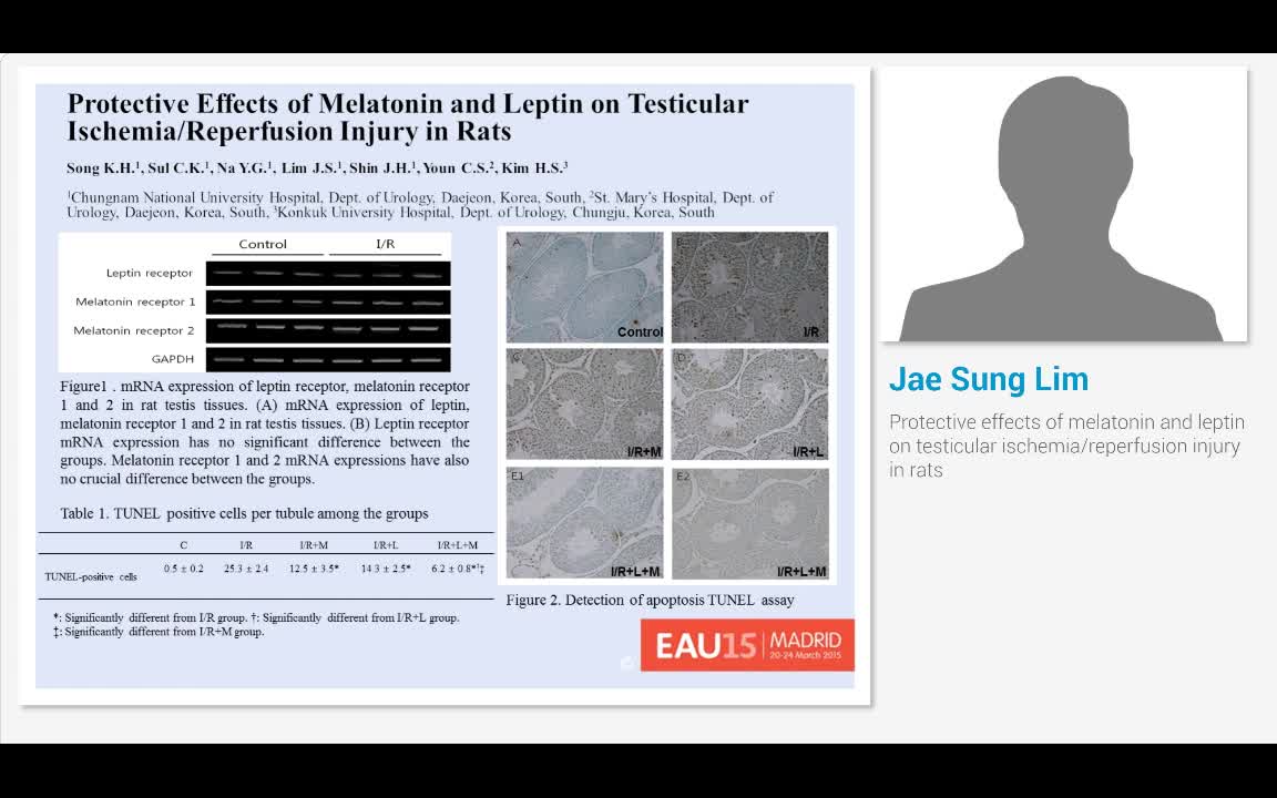 Protective effects of melatonin and leptin on testicular ..-