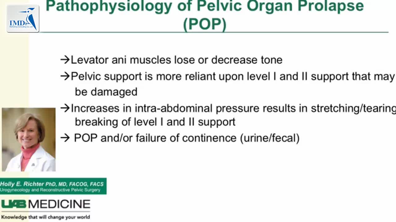 盆腔脏器脱垂手术_02