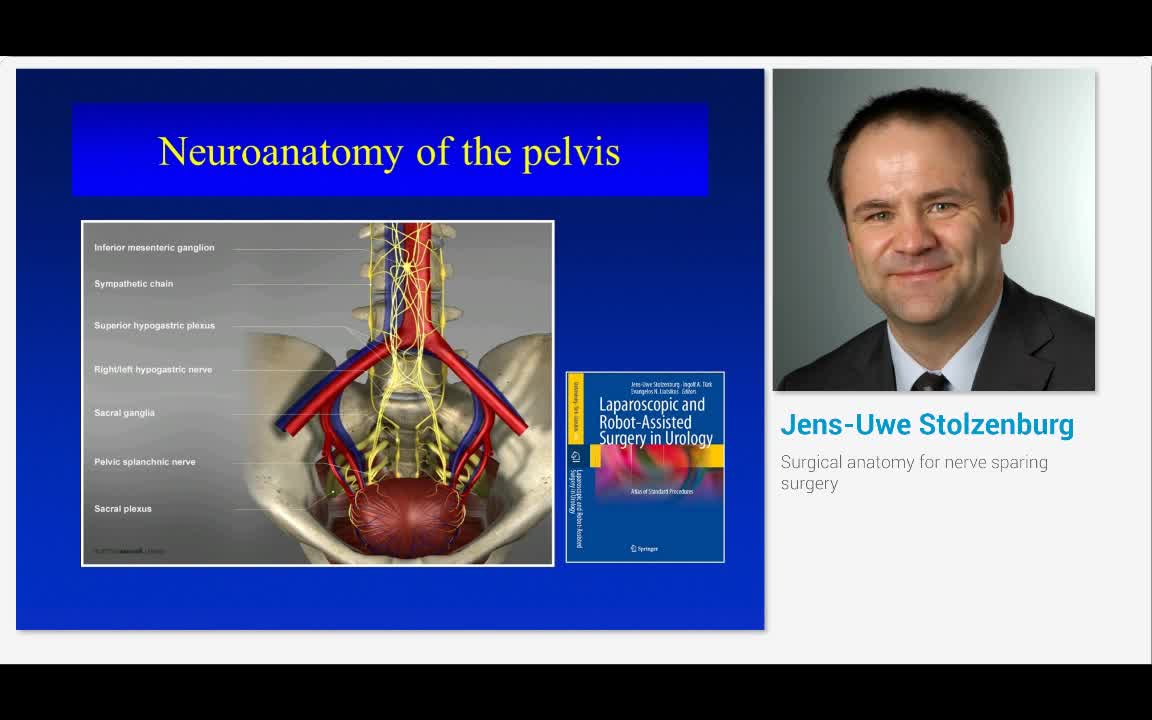 Surgical anatomy for nerve sparing surgery