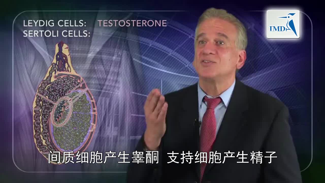 什么是性腺机能减退