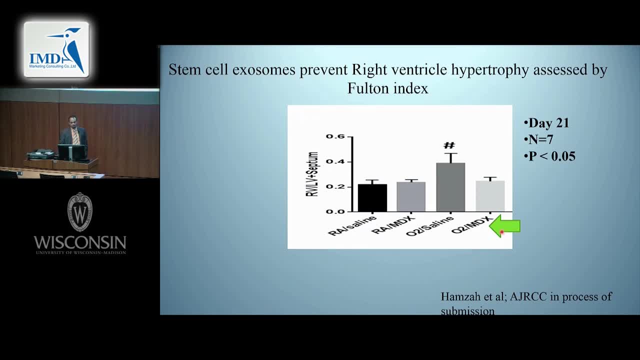 间充质干细胞外泌体（6）