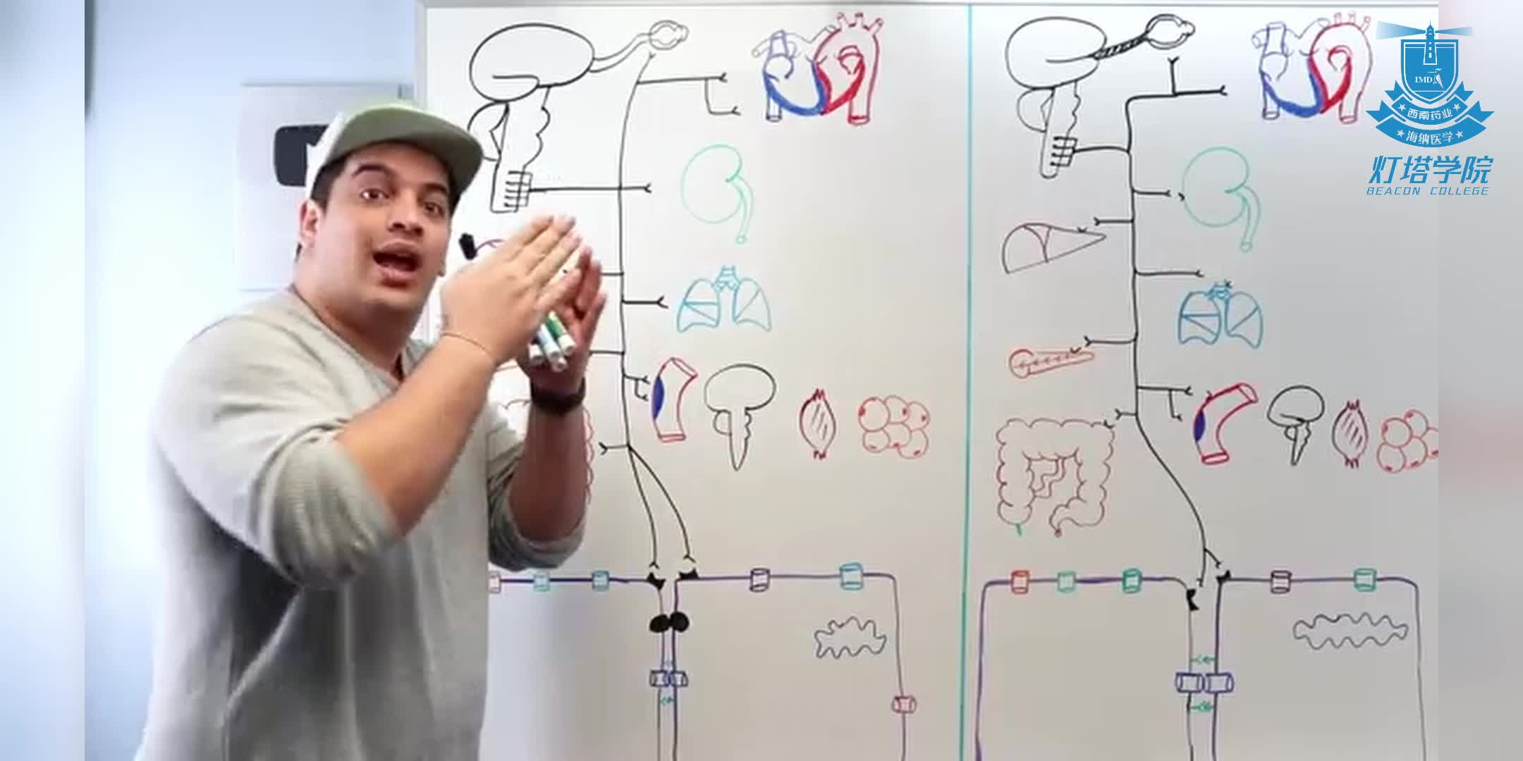 &beta;受体阻滞剂的生理影响与作用机制