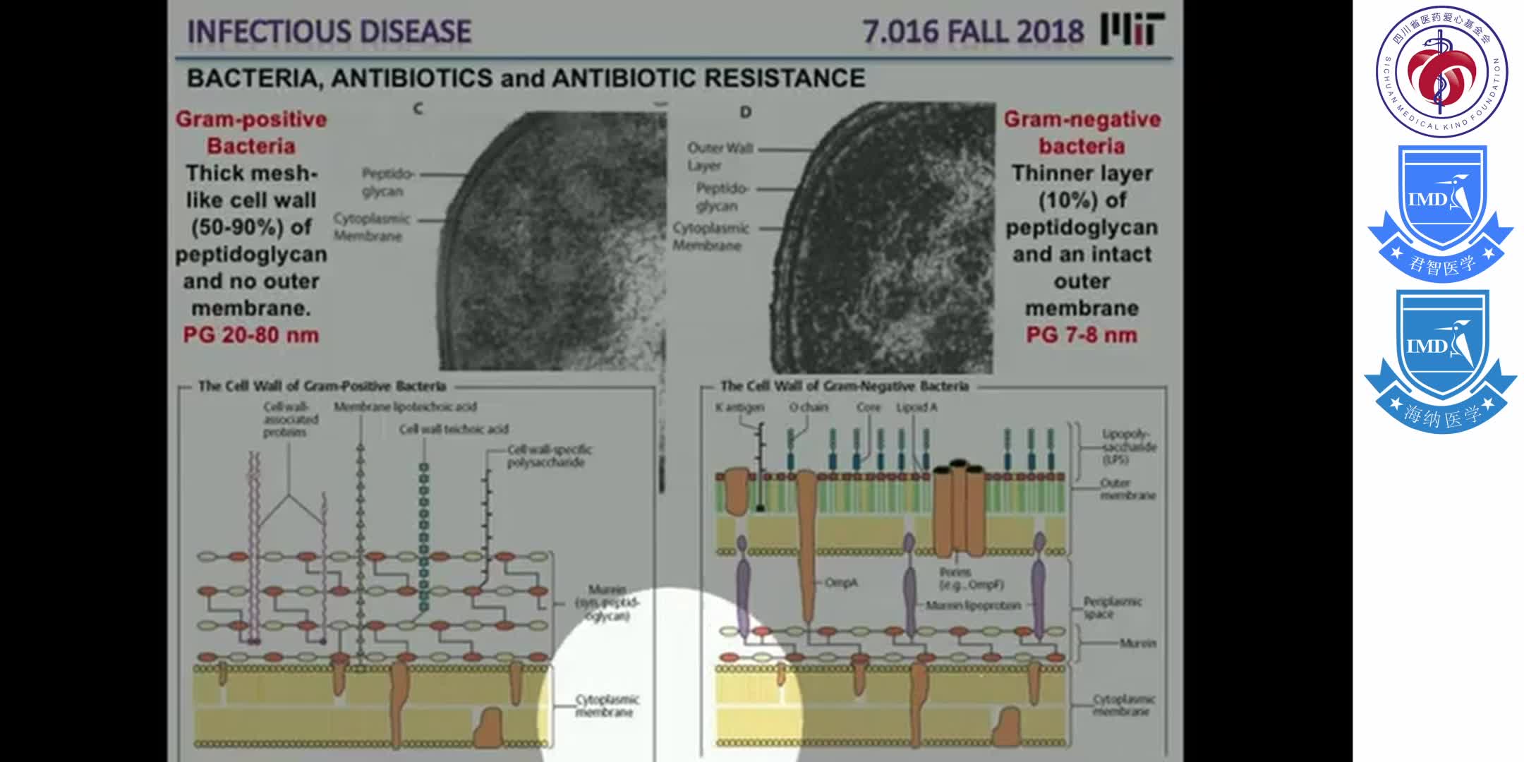 Infectious Disease, Viruses, and Bacteria 6