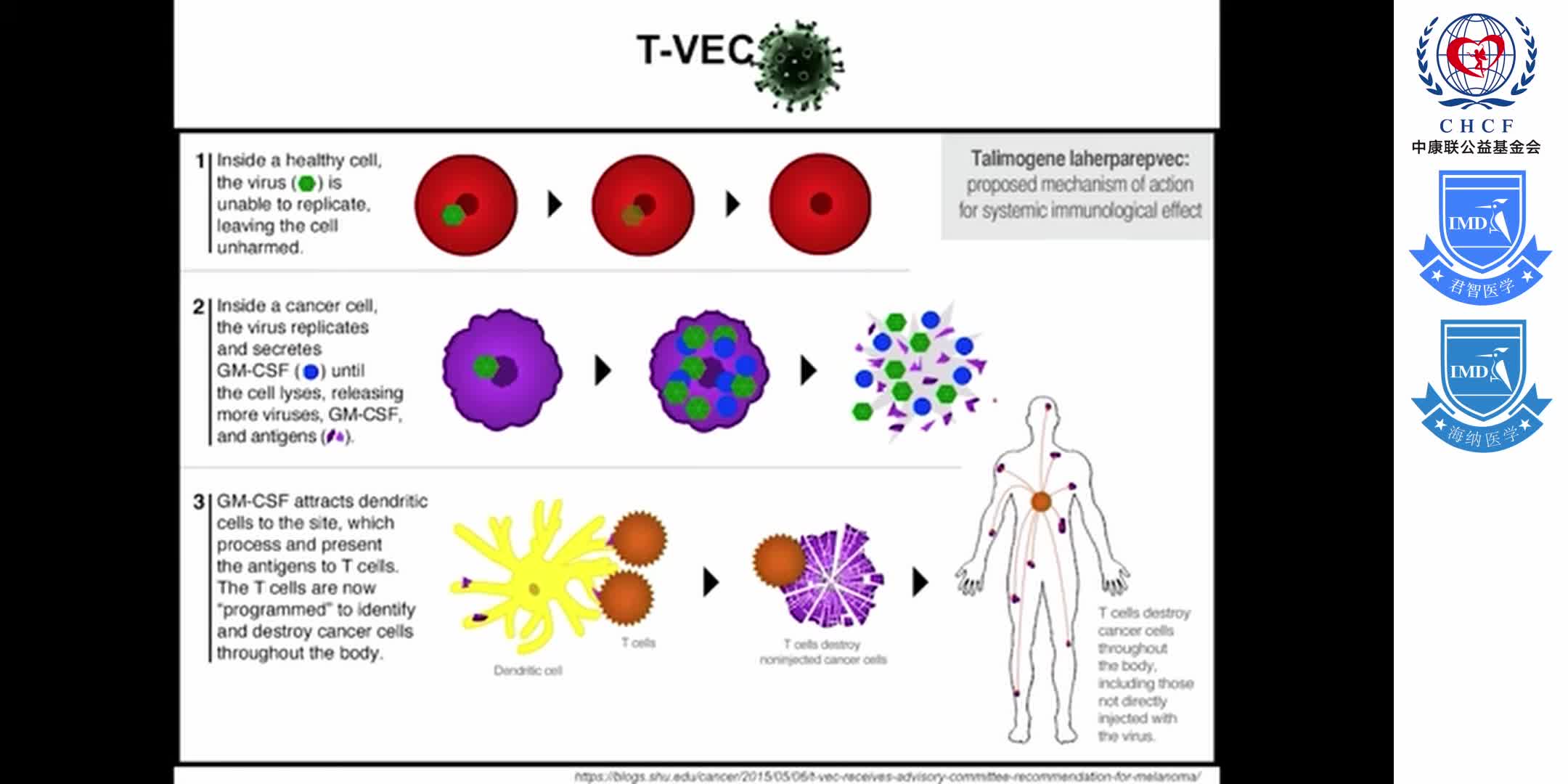 Innate Immunity in Cancer Immunotherapy with Shawn Demehri, MD 1-4